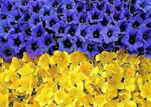 ukrainuli-stili-interieris-dizainshi