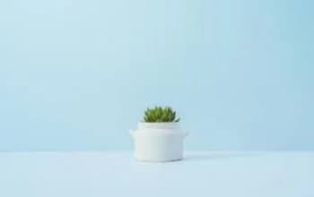 interieri-minimalistur-stilshi